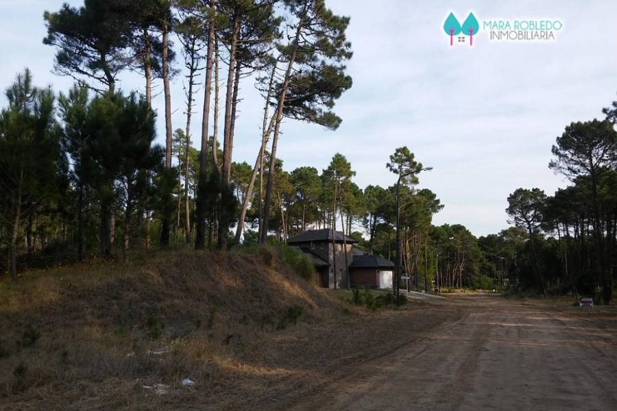 Pinamar,Buenos Aires,Argentina,Lotes-Terrenos,LOS ALAMOS,5844