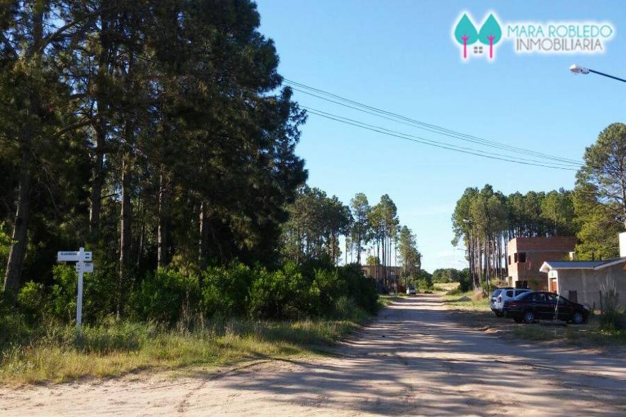 Pinamar,Buenos Aires,Argentina,Lotes-Terrenos,TRIDENTE V,5845