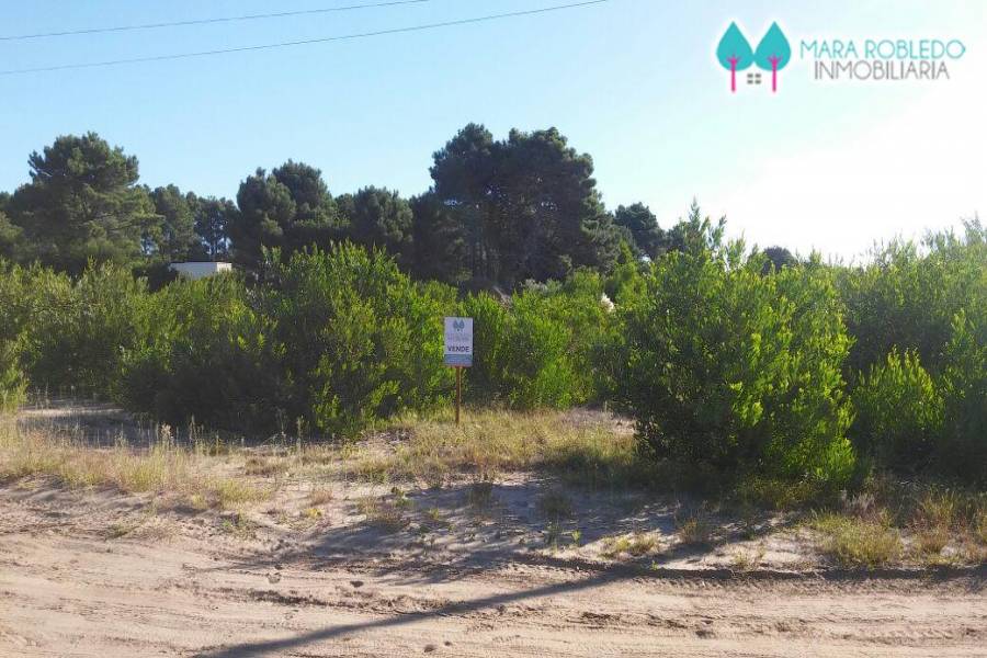 Pinamar,Buenos Aires,Argentina,Lotes-Terrenos,TRIDENTE V,5845