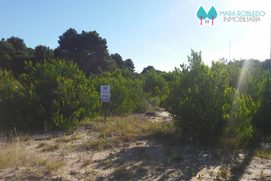 Pinamar,Buenos Aires,Argentina,Lotes-Terrenos,TRIDENTE V,5845