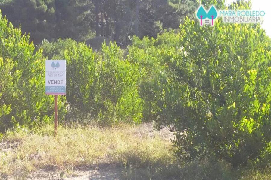 Pinamar,Buenos Aires,Argentina,Lotes-Terrenos,TRIDENTE V,5845