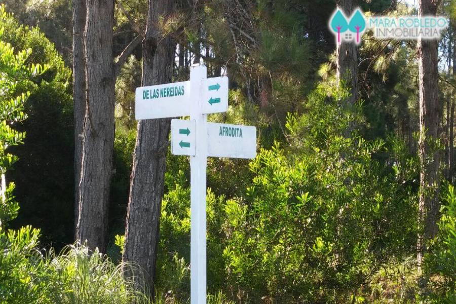 Pinamar,Buenos Aires,Argentina,Lotes-Terrenos,TRIDENTE V,5845
