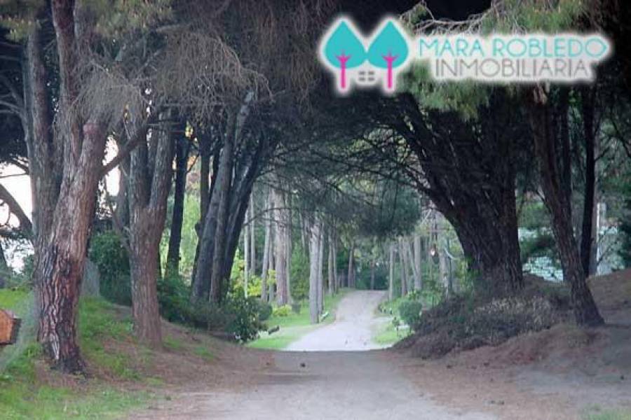 Pinamar,Buenos Aires,Argentina,Lotes-Terrenos,ZONA ALAMOS,5881