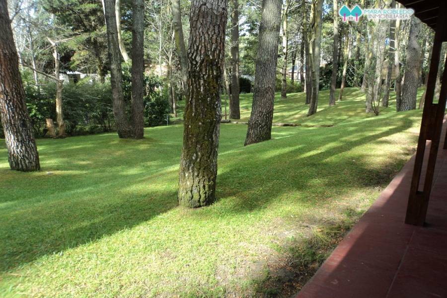 Carilo,Buenos Aires,Argentina,4 Bedrooms Bedrooms,3 BathroomsBathrooms,Casas,PALMERA ,5895