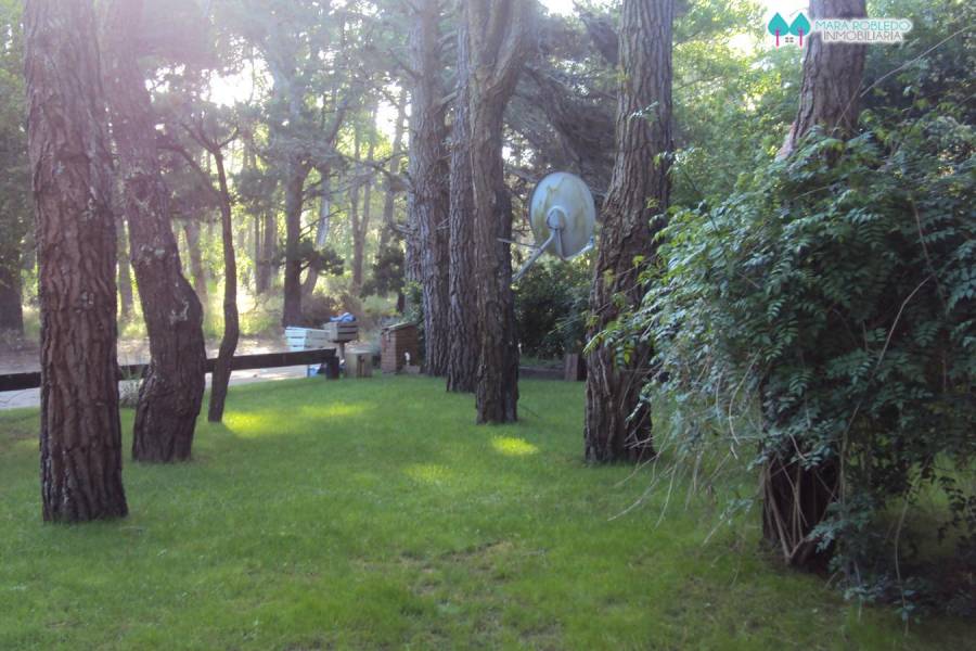 Carilo,Buenos Aires,Argentina,4 Bedrooms Bedrooms,3 BathroomsBathrooms,Casas,PALMERA Y CHORLO,5898
