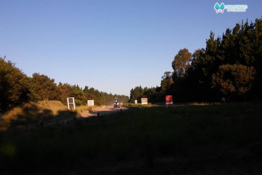 Costa Esmeralda,Buenos Aires,Argentina,Lotes-Terrenos,DEPORTIVO 1 LOTE 43,6059