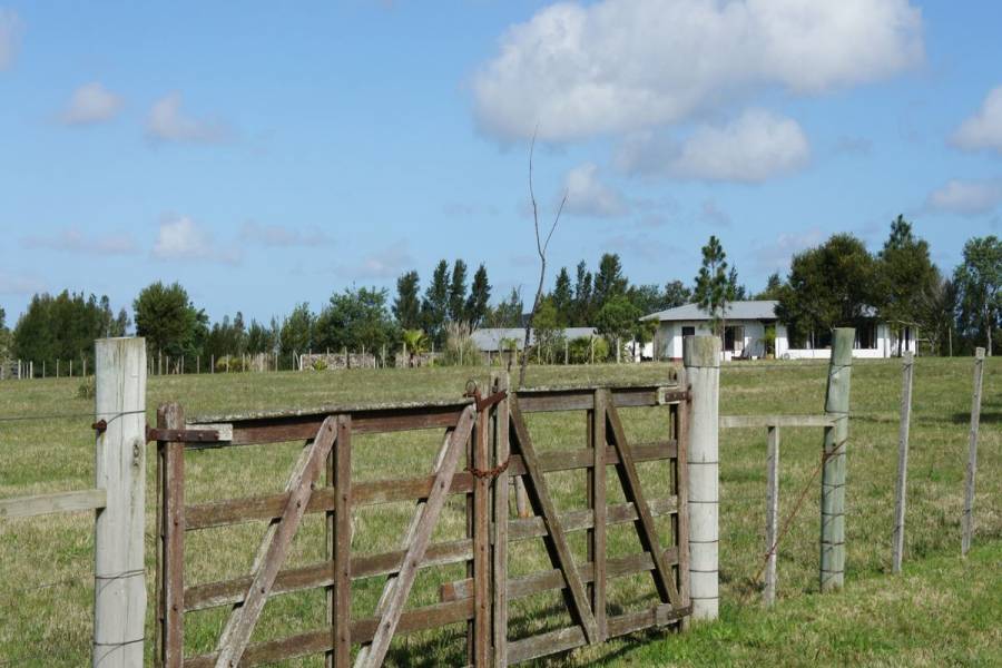 Maldonado,Uruguay,4 Bedrooms Bedrooms,4 BathroomsBathrooms,Chacras-Quintas,6085