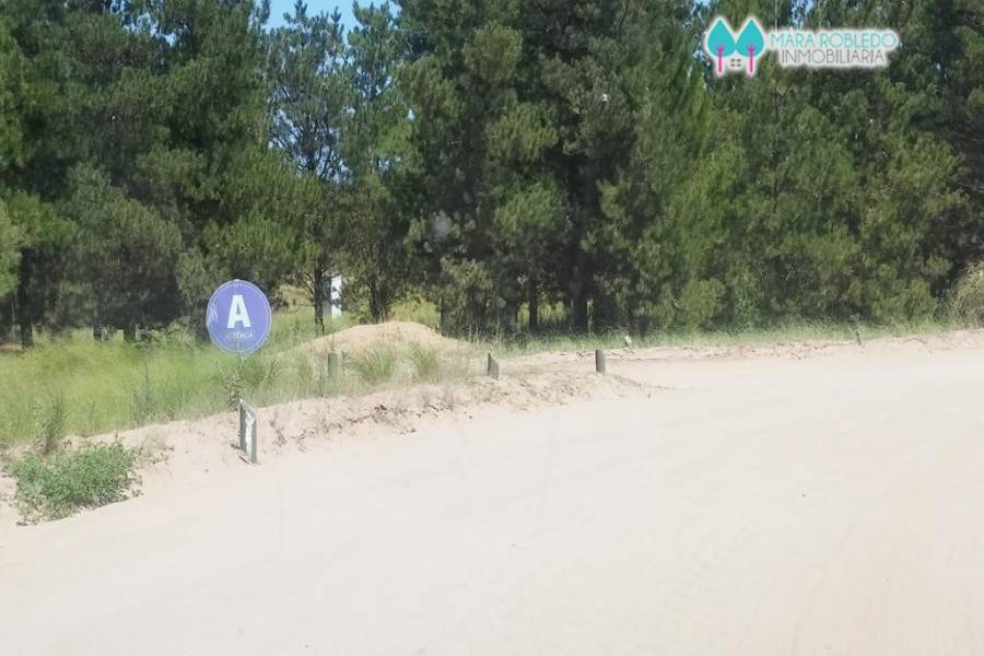 Costa Esmeralda,Buenos Aires,Argentina,Lotes-Terrenos,GOLF 2 LOTE 644,6103