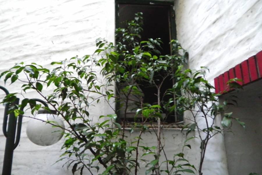 Caballito,Capital Federal,Argentina,2 Bedrooms Bedrooms,1 BañoBathrooms,Casas,CUCHA CUCHA ,6197