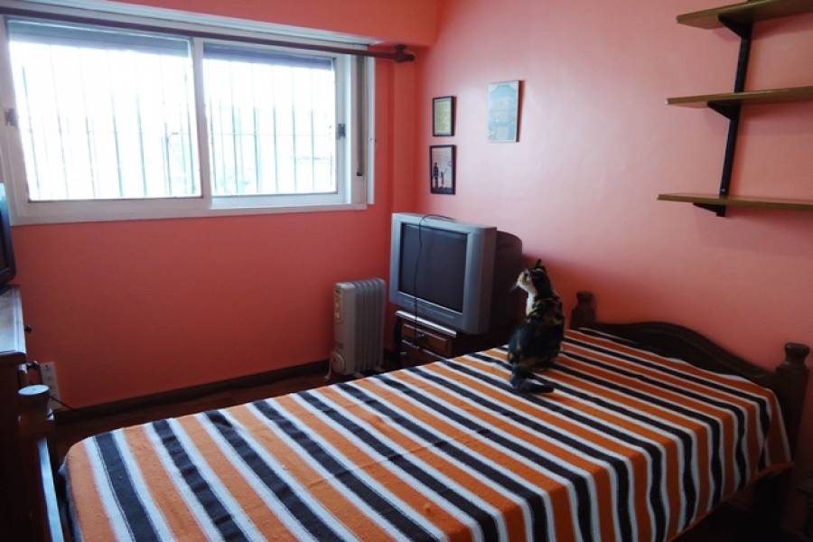 Floresta,Capital Federal,Argentina,2 Bedrooms Bedrooms,1 BañoBathrooms,Casas,AZUL,6212