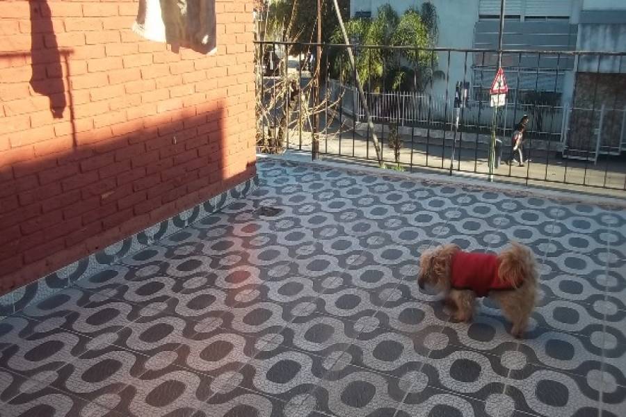 Versalles,Capital Federal,Argentina,2 Bedrooms Bedrooms,1 BañoBathrooms,Casas,BRUSELAS ,6230