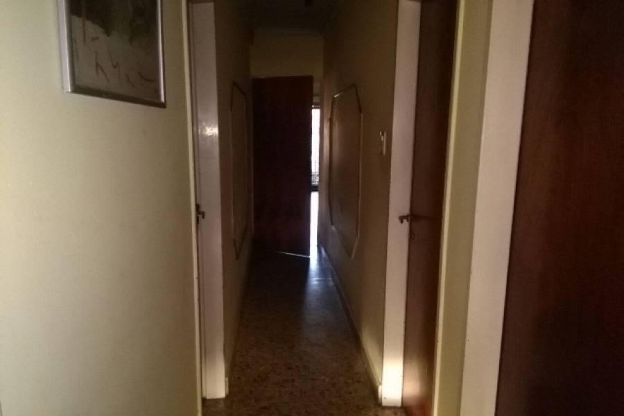 Flores,Capital Federal,Argentina,3 Bedrooms Bedrooms,1 BañoBathrooms,Casas,SAN PEDRITO ,6245