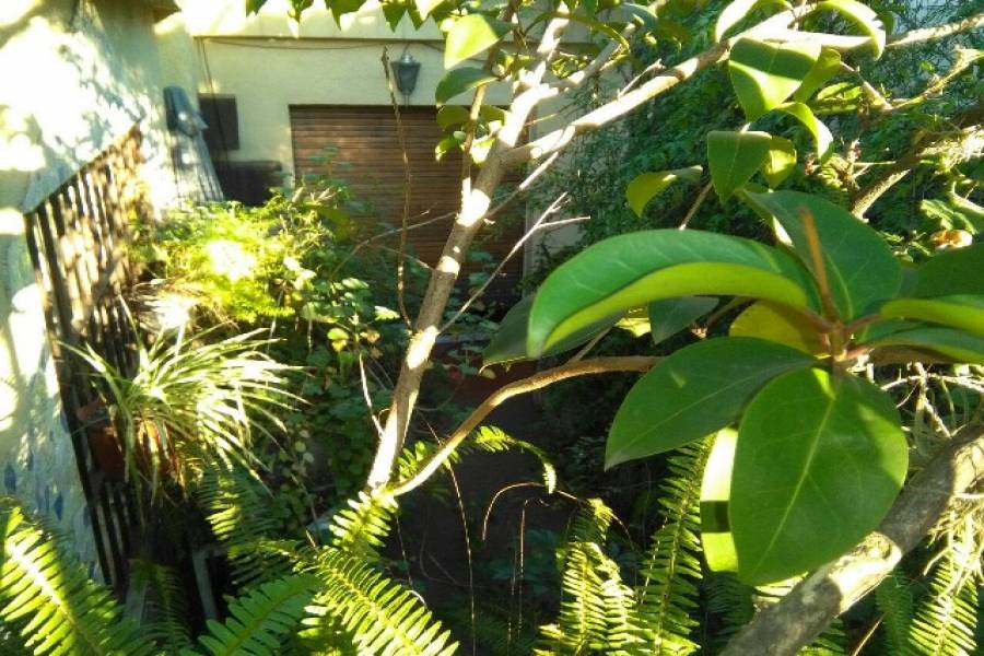 Flores,Capital Federal,Argentina,3 Bedrooms Bedrooms,1 BañoBathrooms,Casas,SAN PEDRITO ,6245