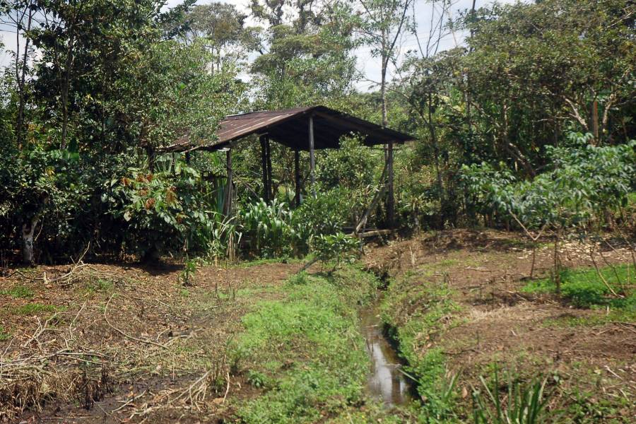 MORONA SANTIAGO, Ecuador, ,Lotes-Terrenos,Venta,6524