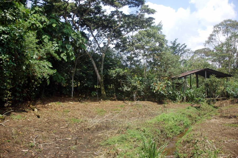 MORONA SANTIAGO, Ecuador, ,Lotes-Terrenos,Venta,6524