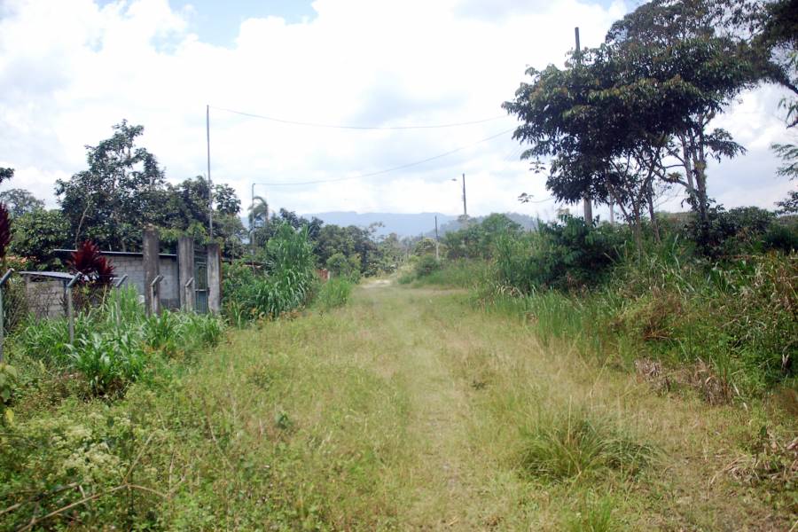 MORONA SANTIAGO, Ecuador, ,Lotes-Terrenos,Venta,6524