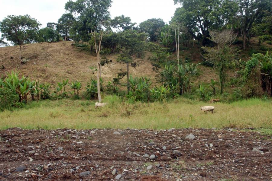MACAS,MORONA SANTIAGO,Ecuador,Lotes-Terrenos,6527
