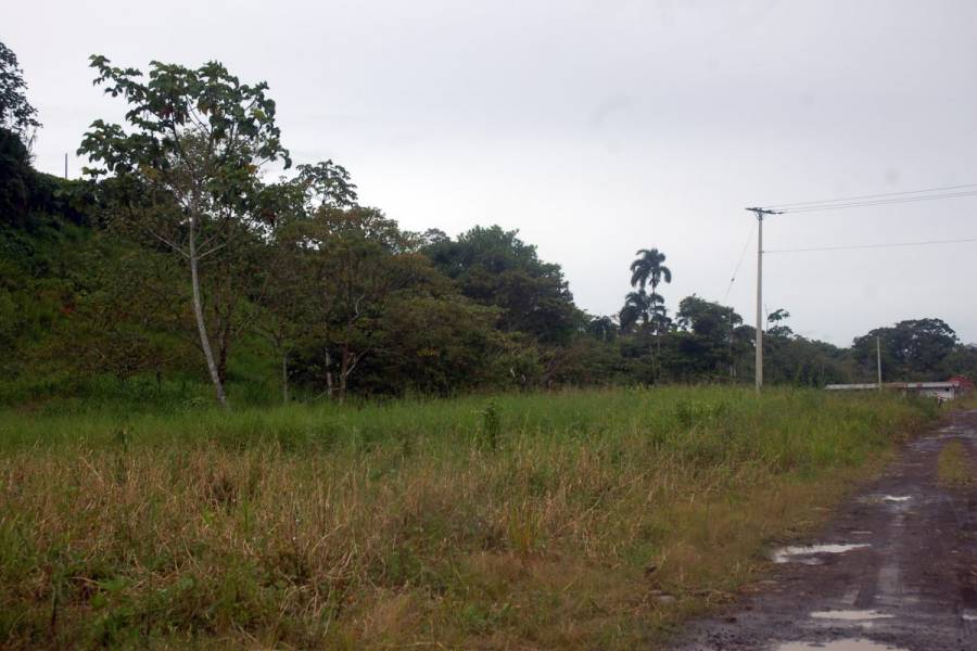 MACAS,MORONA SANTIAGO,Ecuador,Lotes-Terrenos,6527