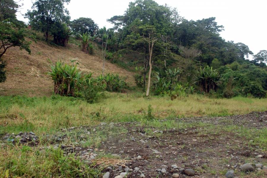 MACAS,MORONA SANTIAGO,Ecuador,Lotes-Terrenos,6527