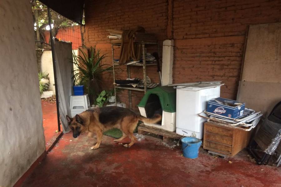 Hurlingham,Buenos Aires,Argentina,Chalets,CANUELAS,6581