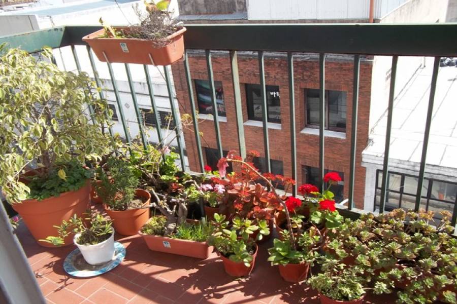 Flores,Capital Federal,Argentina,2 Bedrooms Bedrooms,1 BañoBathrooms,Apartamentos,ARANGUREN ,6712
