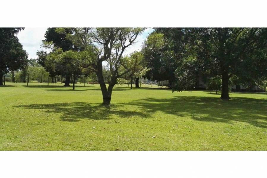 Oliveros,Santa Fe,Lotes,Villa Elena Barrio Abierto,Ruta 11,1590