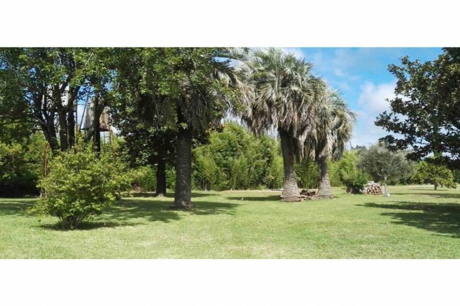 Oliveros,Santa Fe,Lotes,Villa Elena Barrio Abierto,Ruta 11,1590