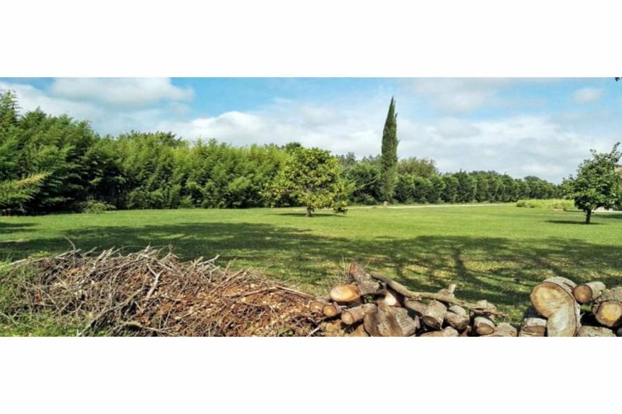 Oliveros,Santa Fe,Lotes,Villa Elena Barrio Abierto,Ruta 11,1590