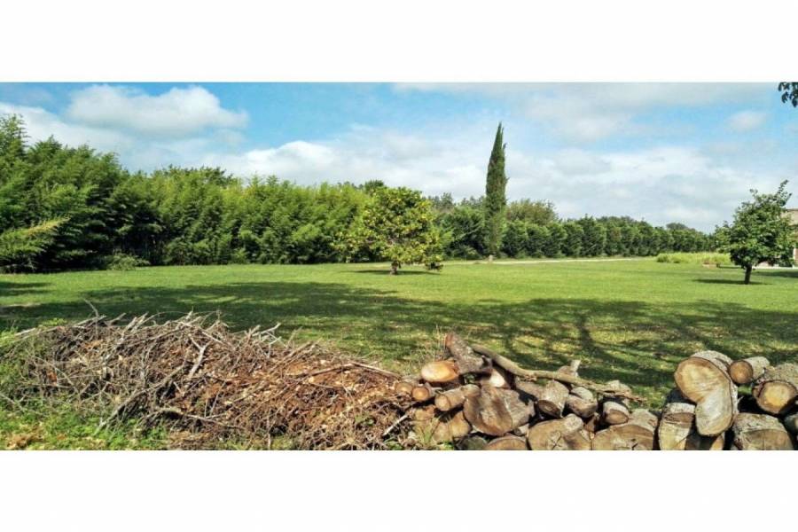 Oliveros,Santa Fe,Lotes,Villa Elena Barrio Abierto,Ruta 11,1590