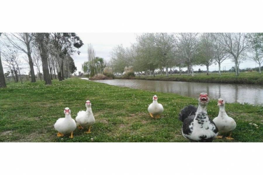 Rosario,Santa Fe,Lotes,Pinares del Sur,Ruta AO12,1591