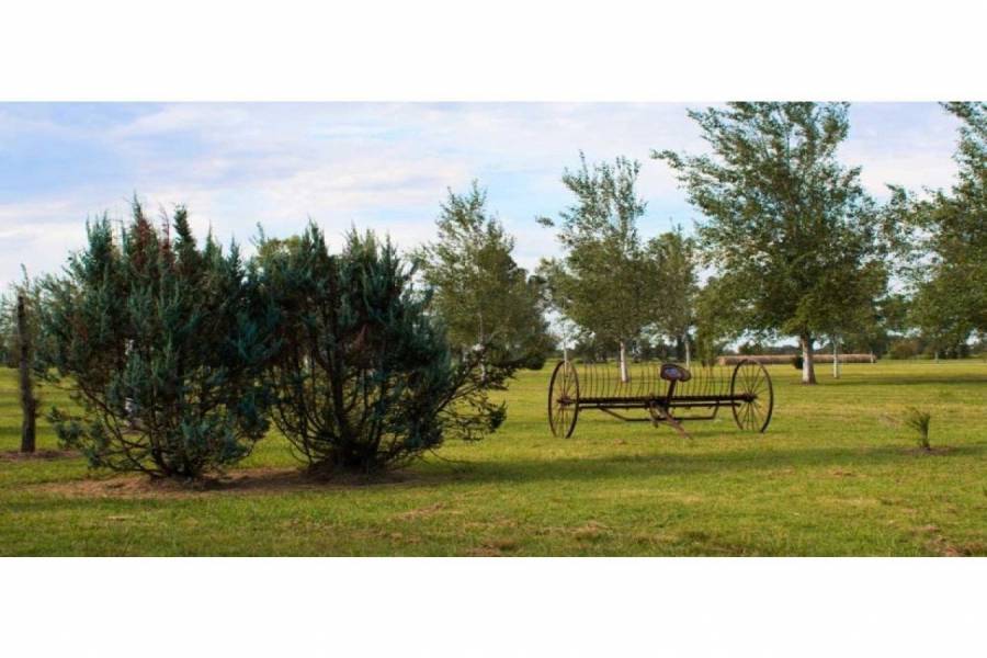 Rosario,Santa Fe,Lotes,Pinares del Sur,Ruta AO12,1591