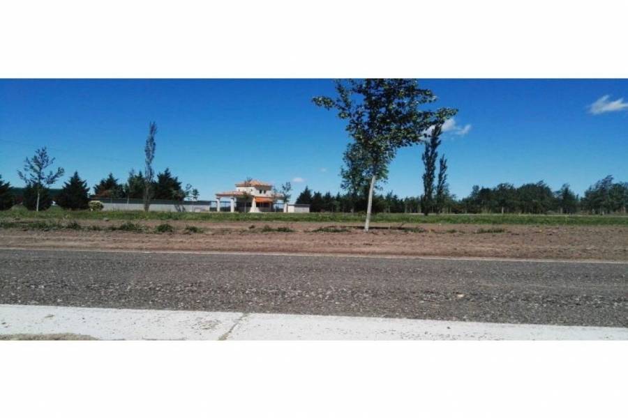 Rosario,Santa Fe,Lotes,Pinares del Sur,Ruta AO12,1591