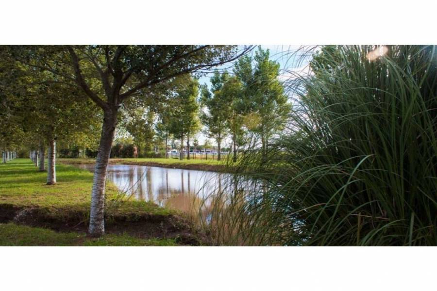 Rosario,Santa Fe,Lotes,Pinares del Sur,Ruta AO12,1591