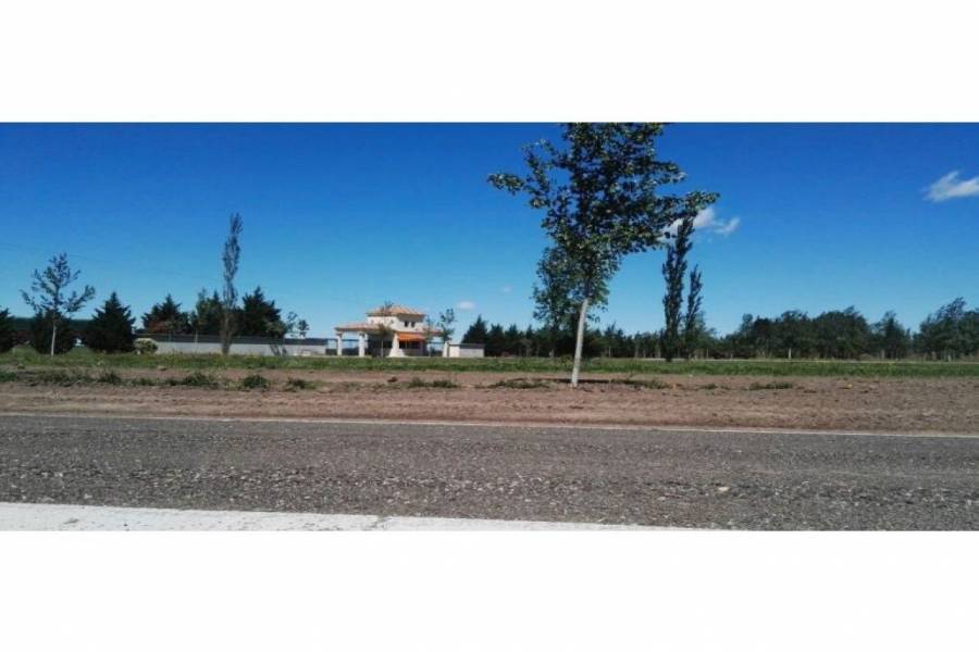 Rosario,Santa Fe,Lotes,Pinares del Sur,Ruta AO12,1591