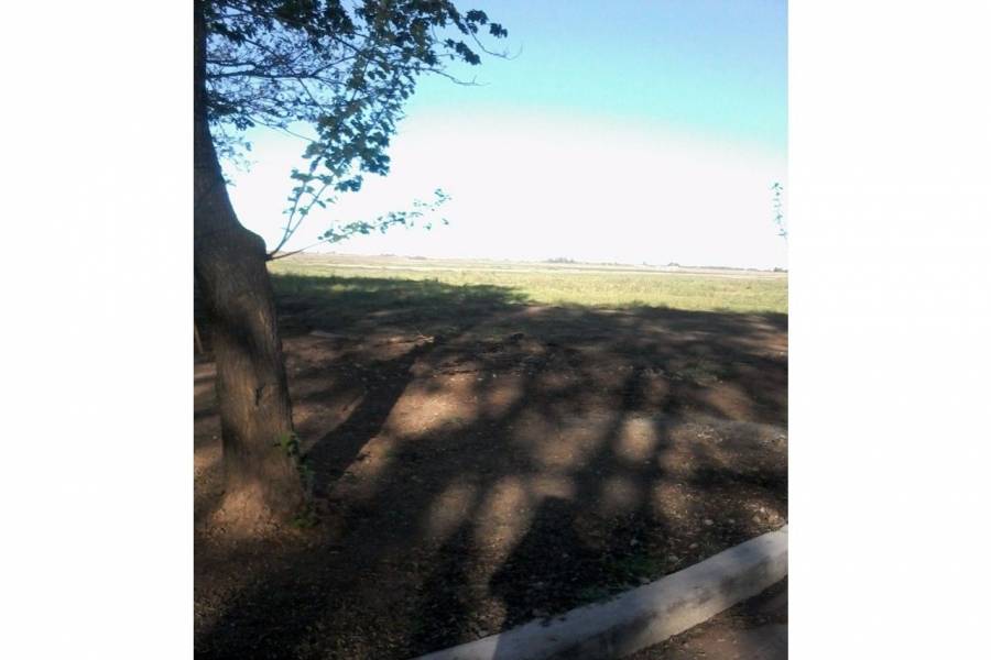 Ricardone,Santa Fe,Lotes,Estancia Las Moras,Bv. Nestor de Iriondo y Trivisono,1592
