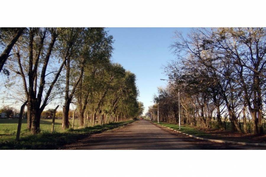 Ricardone,Santa Fe,Lotes,Estancia Las Moras,Bv. Nestor de Iriondo y Trivisono,1592