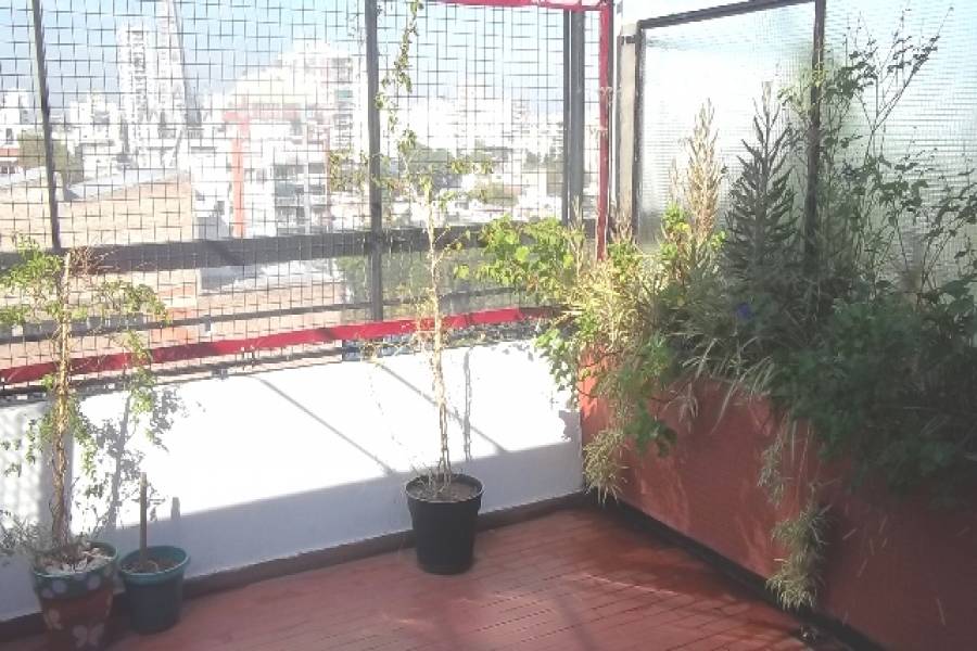 Floresta,Capital Federal,Argentina,2 Bedrooms Bedrooms,1 BañoBathrooms,Apartamentos,AVELLANEDA,6762