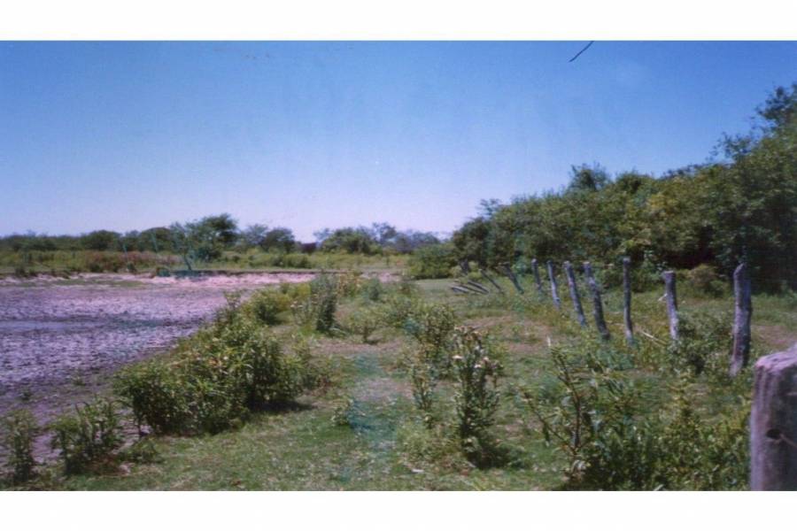 Pinto - Villa General Mitre,Santiago del Estero,Campos,Ruta 34,1608