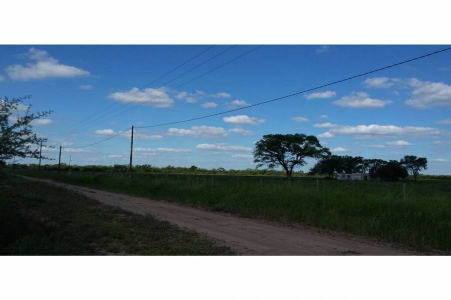 Pinto - Villa General Mitre,Santiago del Estero,Campos,Ruta 34,1608