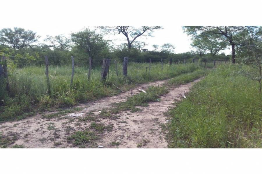 Pinto - Villa General Mitre,Santiago del Estero,Campos,Ruta 34,1608