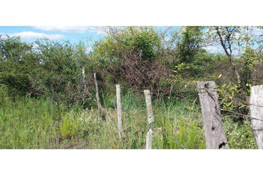 Pinto - Villa General Mitre,Santiago del Estero,Campos,Ruta 34,1608