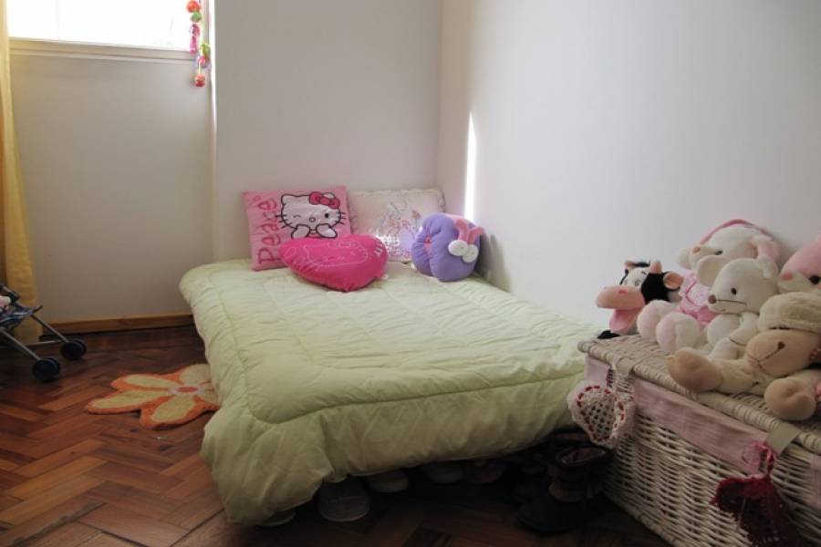 Constitucion,Capital Federal,Argentina,Apartamentos,SAN JOSE ,7009