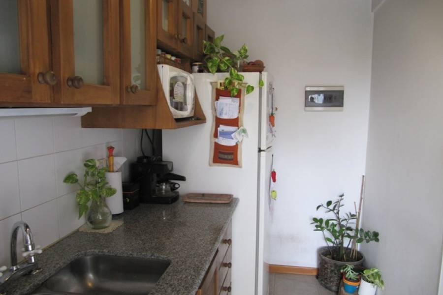 Constitucion,Capital Federal,Argentina,Apartamentos,SAN JOSE ,7009