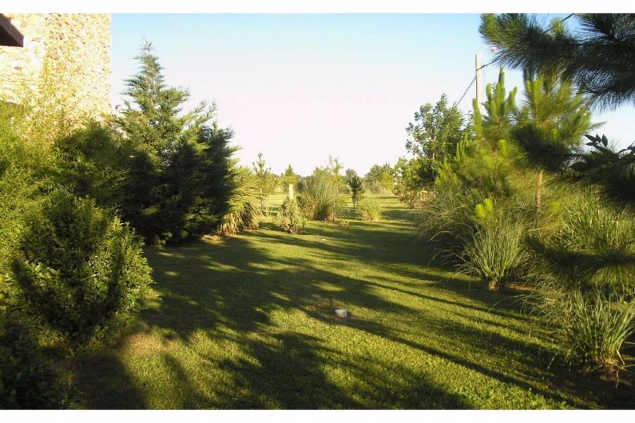 Roldan,Santa Fe,Argentina,Lotes-Terrenos,Prosperity Lands,Fiambala,1626
