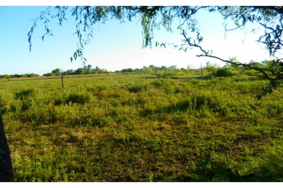 Santa Fe,Lotes,Ruta AO12,1627