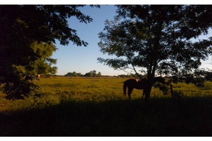 Santa Fe,Lotes,Ruta AO12,1627