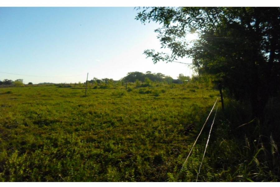 Santa Fe,Lotes,Ruta AO12,1627