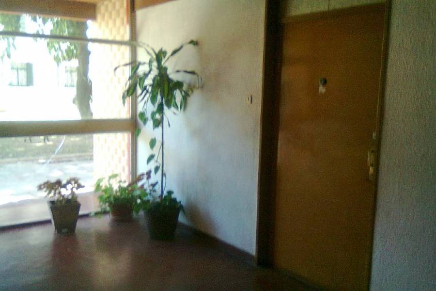 Flores,Capital Federal,Argentina,2 Bedrooms Bedrooms,1 BañoBathrooms,Apartamentos,CRISOSTOMO ALVAREZ,7148