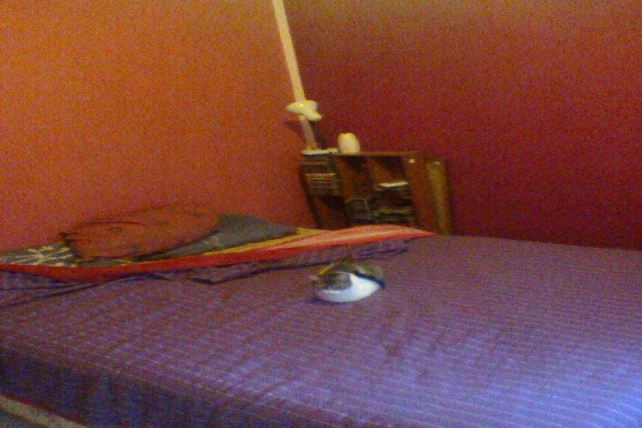 Boedo,Capital Federal,Argentina,2 Bedrooms Bedrooms,1 BañoBathrooms,Apartamentos,BOEDO,7165