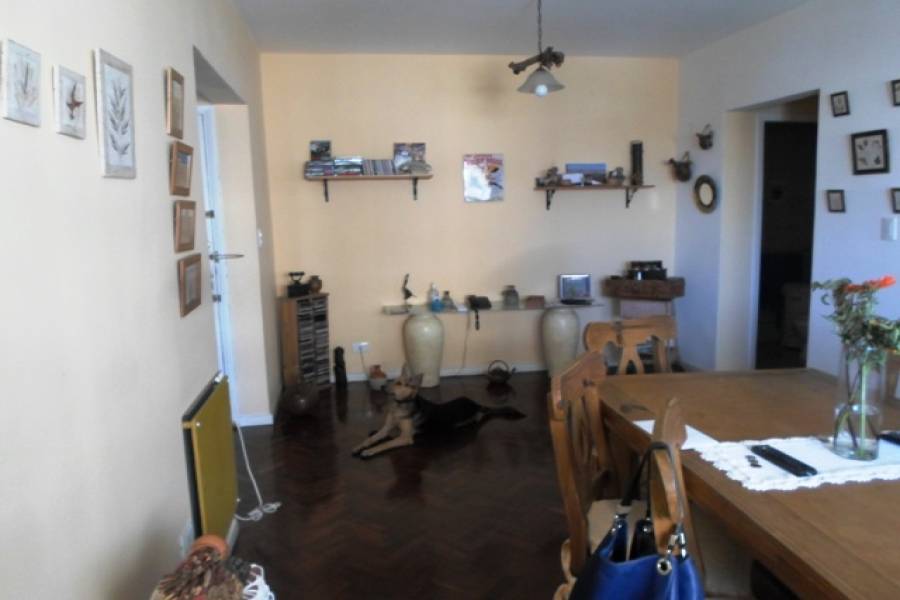 Parque Avellaneda,Capital Federal,Argentina,2 Bedrooms Bedrooms,1 BañoBathrooms,Apartamentos,DIRECTORIO,7243